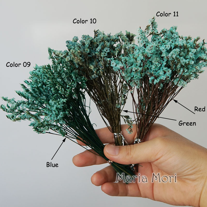 5g/Colorato Dired Preservato E - Candle Making Los Angeles recensione e prezzo